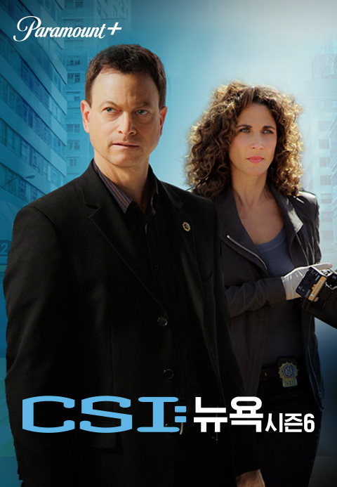 CSI 뉴욕 시즌6