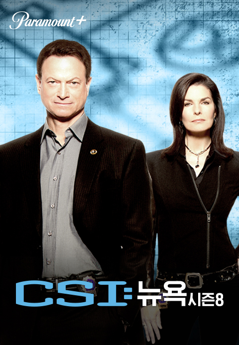 CSI 뉴욕 시즌8