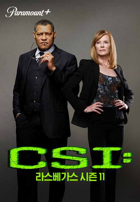 CSI 라스베가스 시즌11