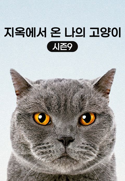 지옥에서 온 나의 고양이 시즌9