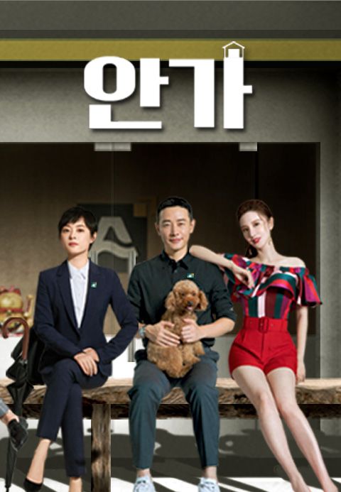 안가: SELLING DREAM