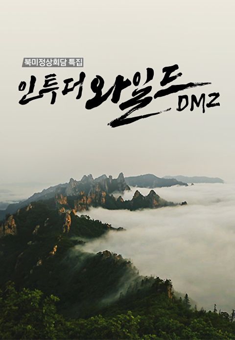 북미정상회담특집 인투더와일드 DMZ