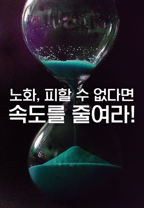 특별기획 노화, 피할 수 없다면 속도를 줄여라!