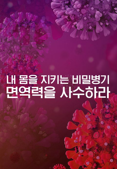 특별기획 내 몸을 지키는 비밀병기, 면역력을 사수하라