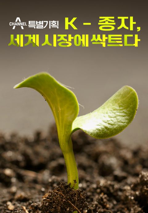K-종자, 세계 시장에 싹트다