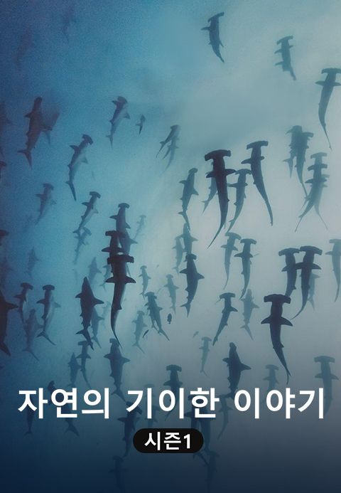 자연의 기이한 이야기