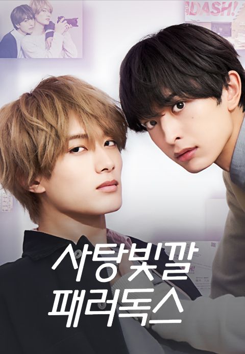 사탕빛깔 패러독스