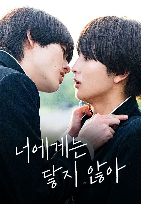 너에게는 닿지 않아