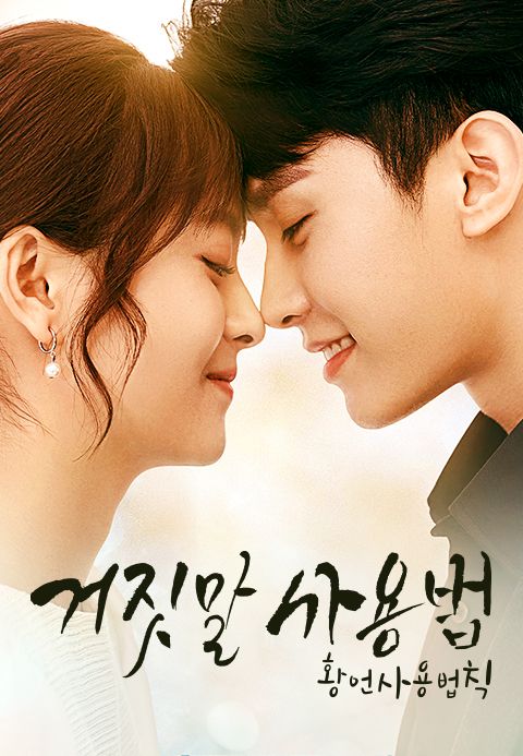 거짓말 사용법: 황언사용법칙