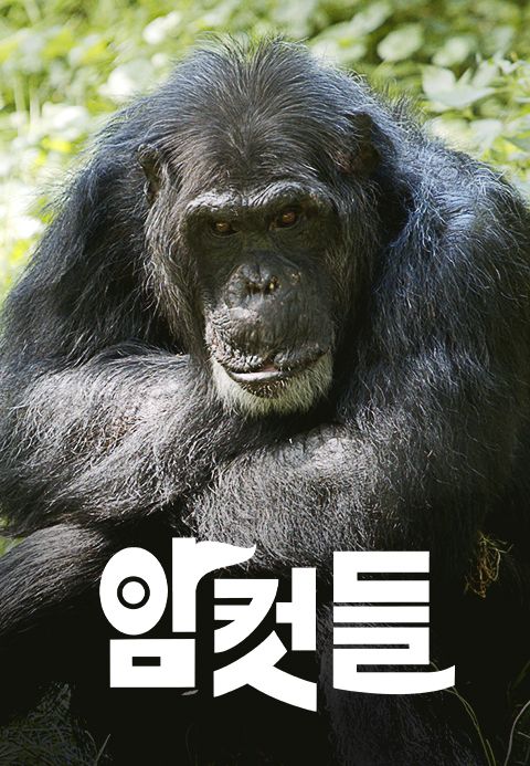 다큐프라임 - 암컷들