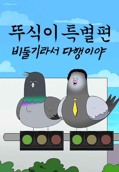 뚜식이 특별편 : 비둘기라서 다행이야