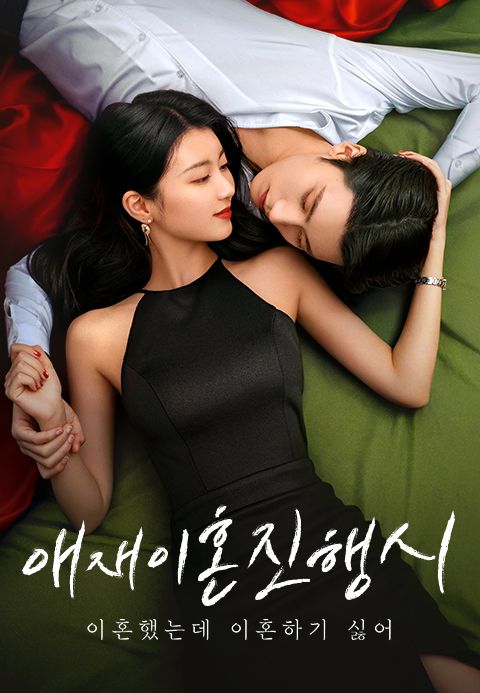 애재이혼진행시 : 이혼했지만 이혼하기 싫어