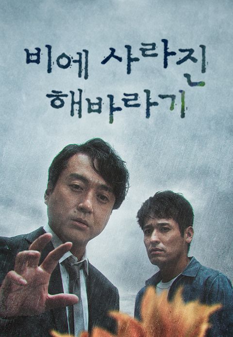비에 사라진 해바라기