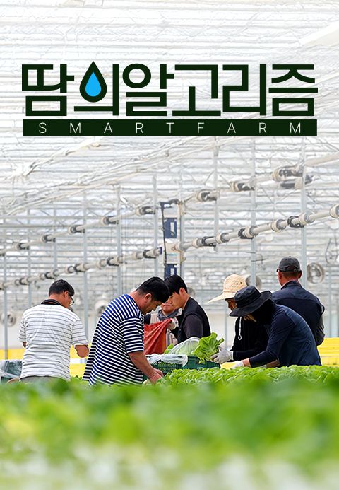 땀의 알고리즘 스마트팜