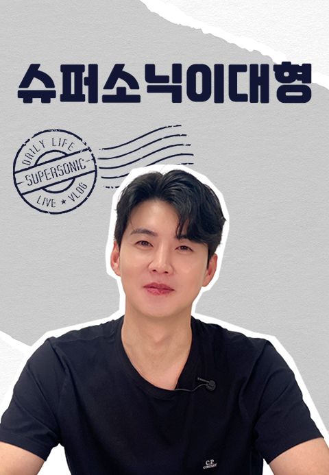 슈퍼소닉이대형