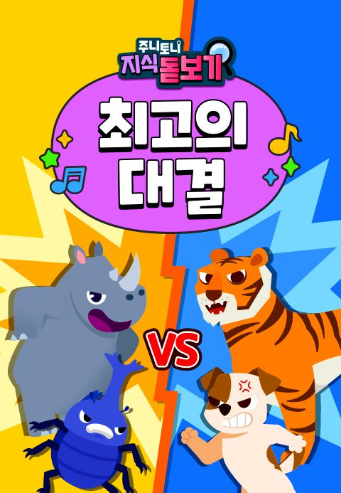 주니토니 지식 돋보기 최고의 대결