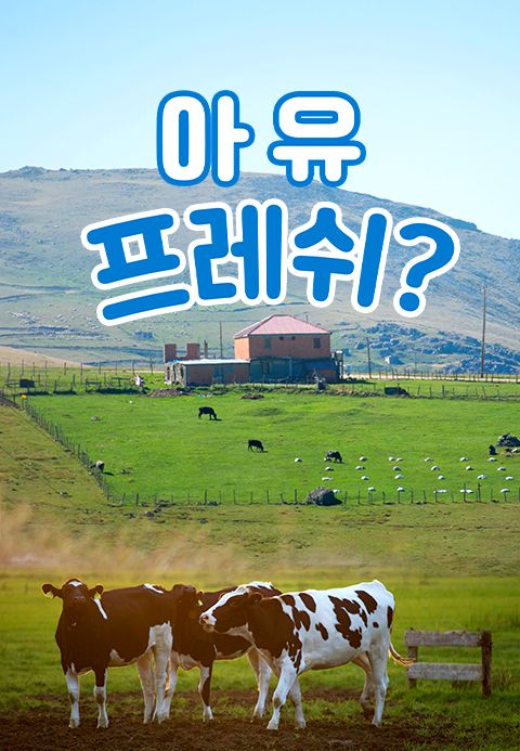 채널A 특별기획 아유 프레쉬?