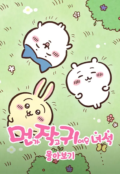 먼작귀 몰아보기