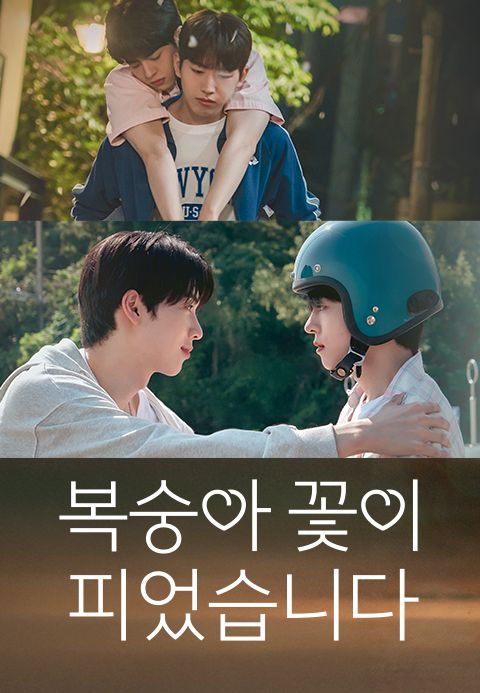 복숭아 꽃이 피었습니다