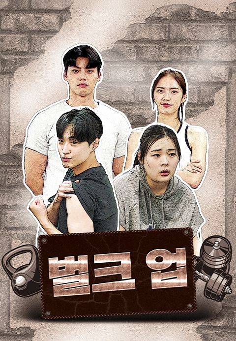 벌크 업