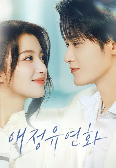 애정유연화