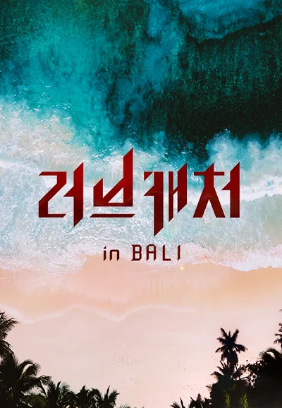 러브캐처 인 발리