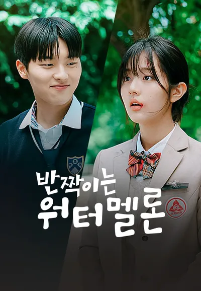 반짝이는 워터멜론