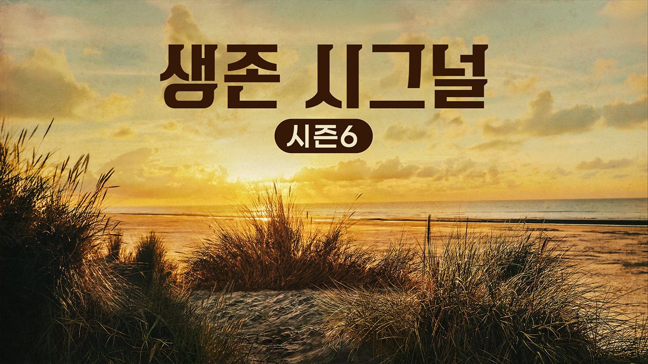생존 시그널 시즌6
