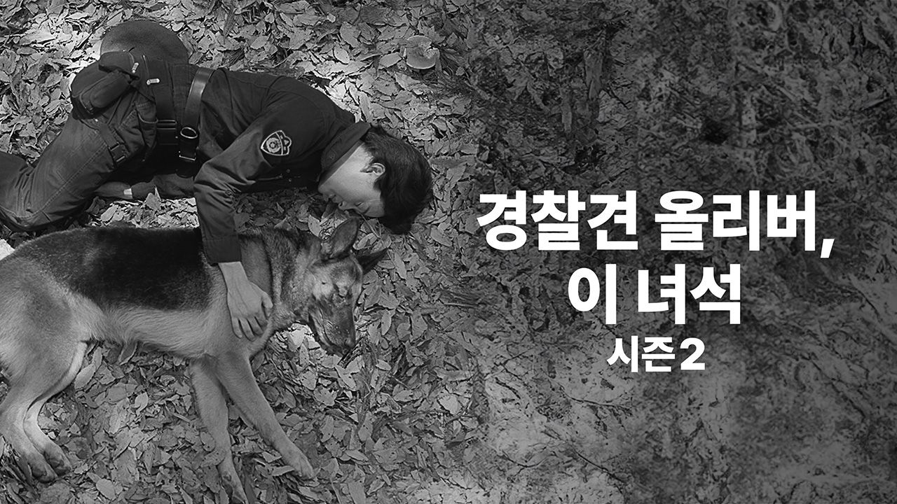 경찰견 올리버, 이 녀석 시즌2