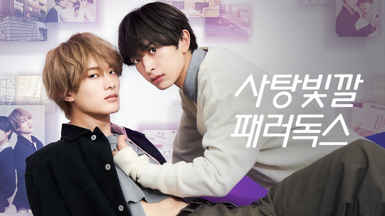 사탕빛깔 패러독스