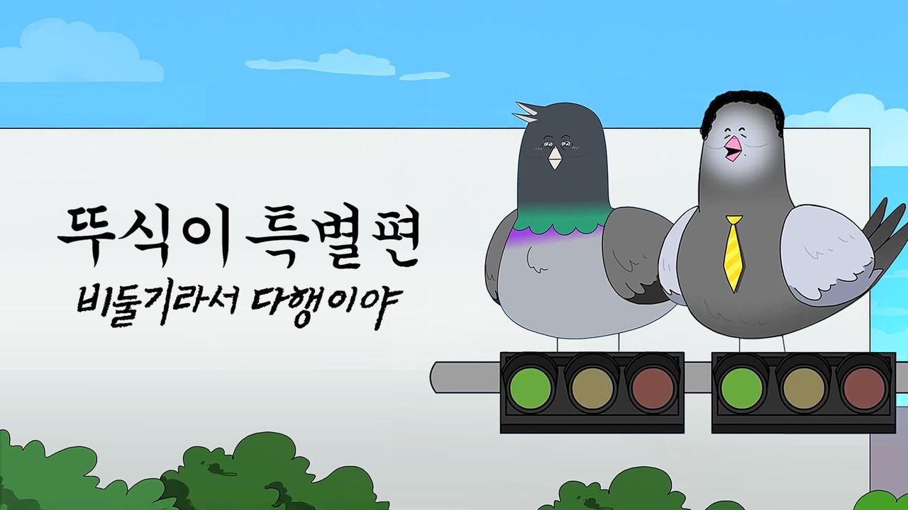 뚜식이 특별편 : 비둘기라서 다행이야