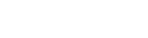 변경의 팔라딘