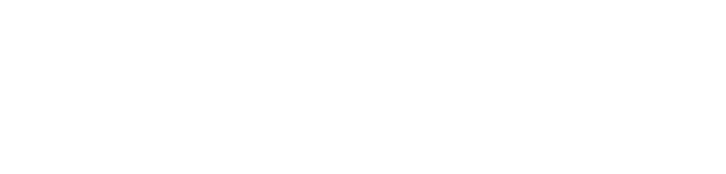 왕이 된 남자