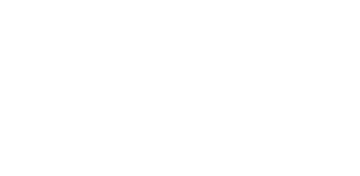 견자단의 정무문