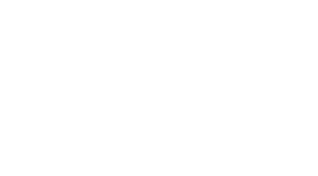 홍루몽