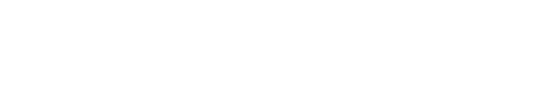 비의도적 연애담