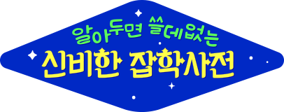 알쓸신잡 (알아두면 쓸데없는 신비한 잡학사전)