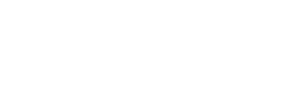 366일