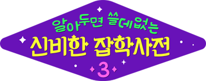 알쓸신잡 (알아두면 쓸데없는 신비한 잡학사전) 3