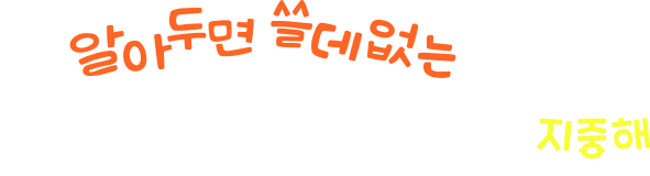 알쓸별잡: 지중해