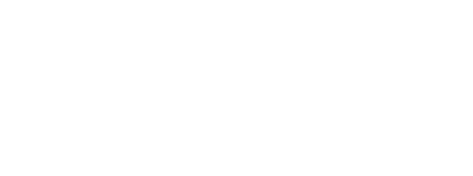 나는 SOLO