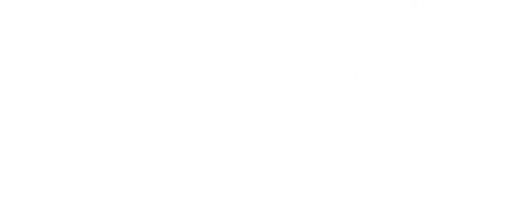 월드 오브 스트릿 우먼 파이터 로고