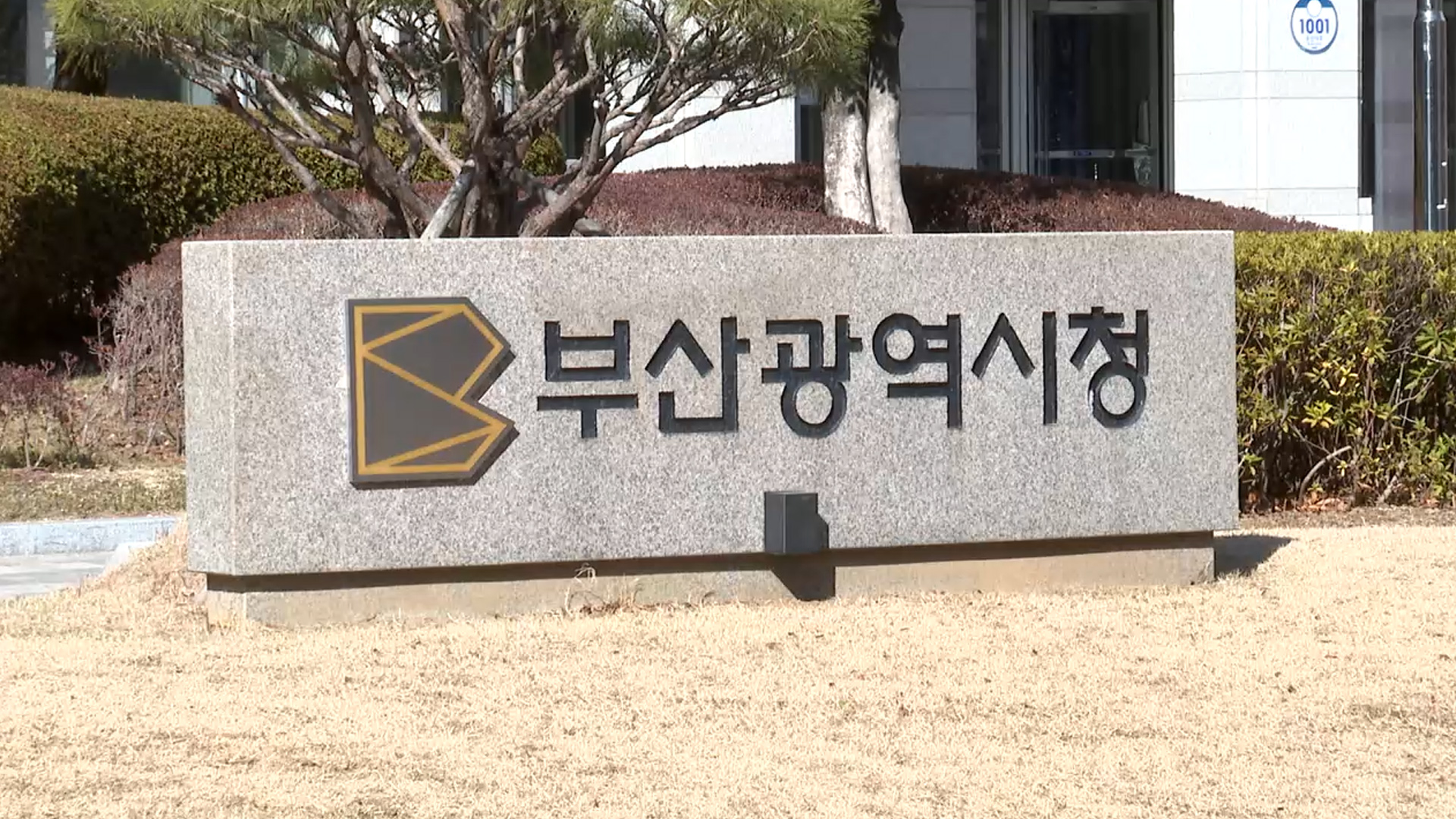 3. 부산시의 긴급 대응: 세무조사와 공정숙박 챌린지