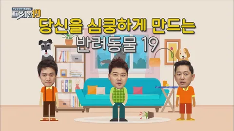 심쿵하게 만드는 반려동물 19