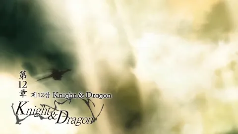 제12장 Knight & Dragon