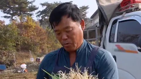 성공 스토리! 쪽파 재배와 과일 도매