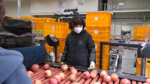 고물가 시대 저렴하게 못난이 농산물과 고시 식당