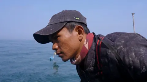산과 바다에서 찾은 봄의 맛! 멍게, 산나물, 주꾸미
