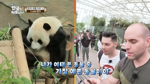 35. [어서와 한국은 처음이지?] 35화