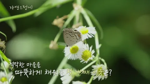 자연스럽게 1회